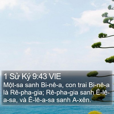 1 Sử Ký 9:43 VIE Bible Verse Image