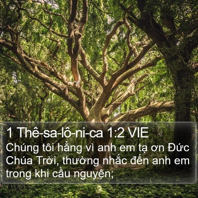 1 Thê-sa-lô-ni-ca 1:2 VIE Bible Verse Image