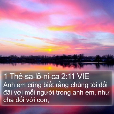 1 Thê-sa-lô-ni-ca 2:11 VIE Bible Verse Image