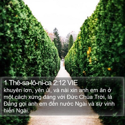 1 Thê-sa-lô-ni-ca 2:12 VIE Bible Verse Image