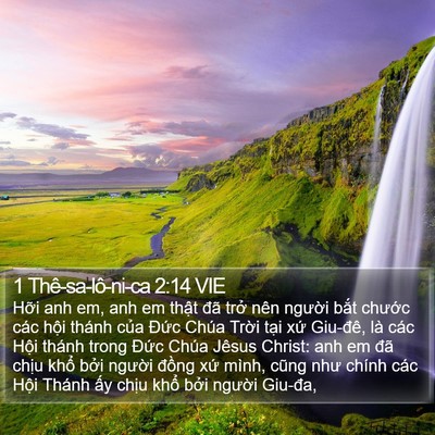 1 Thê-sa-lô-ni-ca 2:14 VIE Bible Verse Image