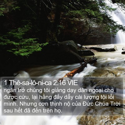 1 Thê-sa-lô-ni-ca 2:16 VIE Bible Verse Image