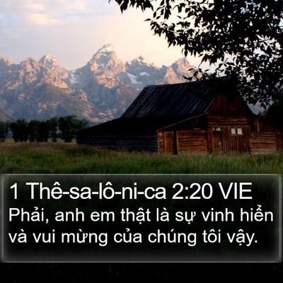 1 Thê-sa-lô-ni-ca 2:20 VIE Bible Verse Image