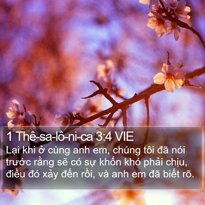 1 Thê-sa-lô-ni-ca 3:4 VIE Bible Verse Image