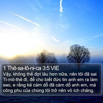 1 Thê-sa-lô-ni-ca 3:5 VIE Bible Verse Image