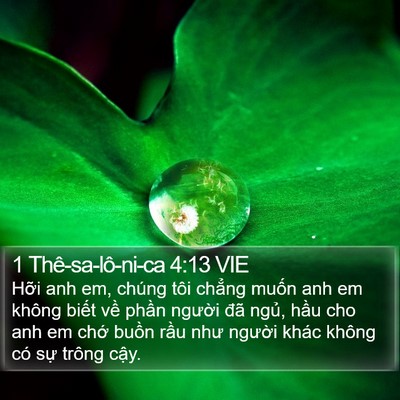 1 Thê-sa-lô-ni-ca 4:13 VIE Bible Verse Image