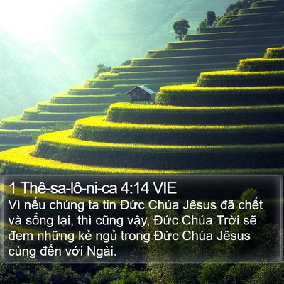 1 Thê-sa-lô-ni-ca 4:14 VIE Bible Verse Image