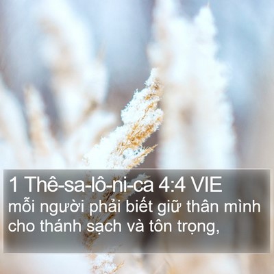 1 Thê-sa-lô-ni-ca 4:4 VIE Bible Verse Image
