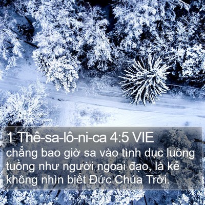 1 Thê-sa-lô-ni-ca 4:5 VIE Bible Verse Image