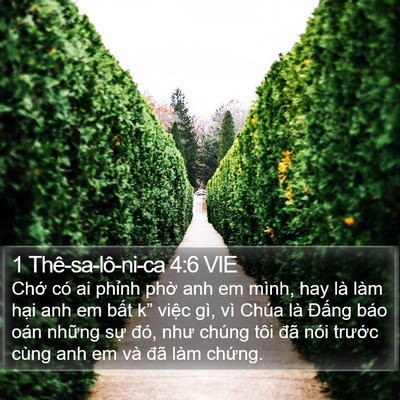 1 Thê-sa-lô-ni-ca 4:6 VIE Bible Verse Image