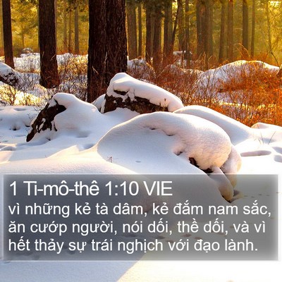 1 Ti-mô-thê 1:10 VIE Bible Verse Image