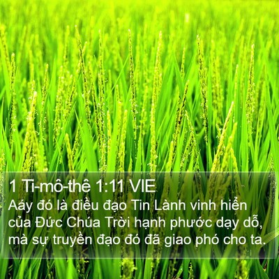1 Ti-mô-thê 1:11 VIE Bible Verse Image