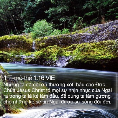 1 Ti-mô-thê 1:16 VIE Bible Verse Image