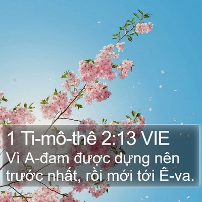 1 Ti-mô-thê 2:13 VIE Bible Verse Image