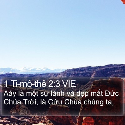 1 Ti-mô-thê 2:3 VIE Bible Verse Image