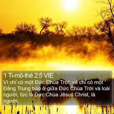 1 Ti-mô-thê 2:5 VIE Bible Verse Image