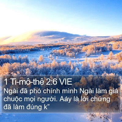 1 Ti-mô-thê 2:6 VIE Bible Verse Image