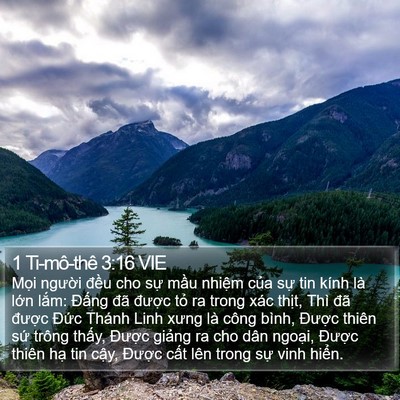 1 Ti-mô-thê 3:16 VIE Bible Verse Image