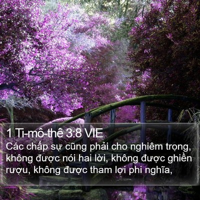 1 Ti-mô-thê 3:8 VIE Bible Verse Image