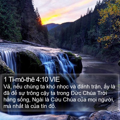 1 Ti-mô-thê 4:10 VIE Bible Verse Image