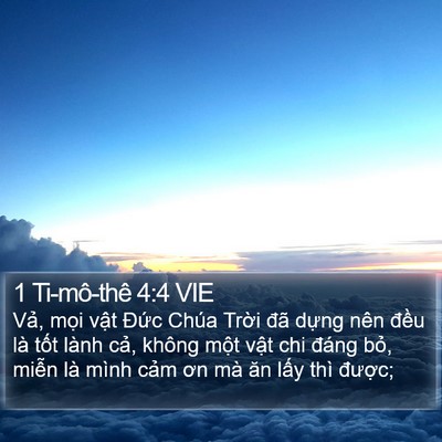 1 Ti-mô-thê 4:4 VIE Bible Verse Image