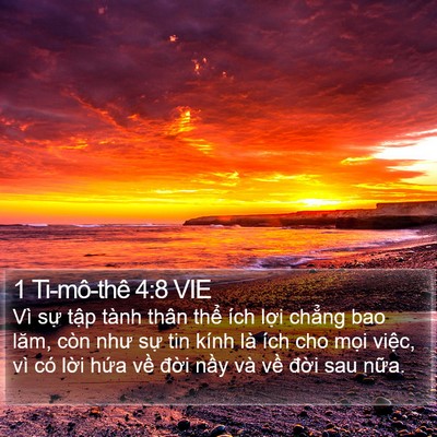 1 Ti-mô-thê 4:8 VIE Bible Verse Image