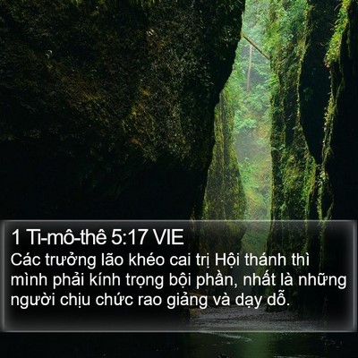 1 Ti-mô-thê 5:17 VIE Bible Verse Image