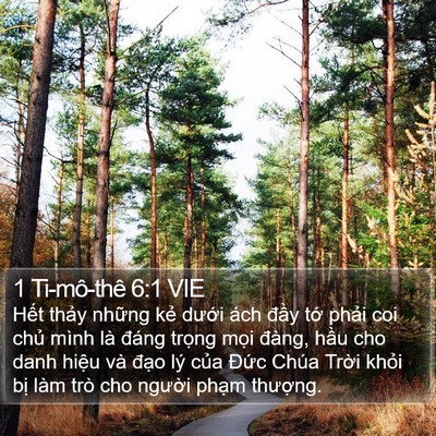 1 Ti-mô-thê 6:1 VIE Bible Verse Image