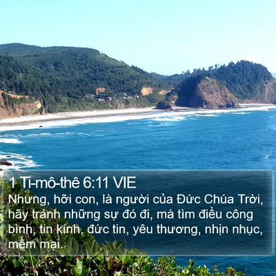 1 Ti-mô-thê 6:11 VIE Bible Verse Image