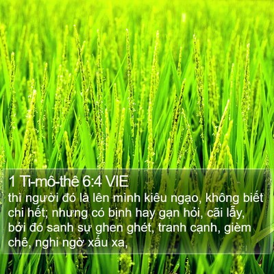 1 Ti-mô-thê 6:4 VIE Bible Verse Image