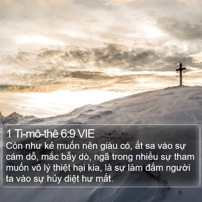 1 Ti-mô-thê 6:9 VIE Bible Verse Image