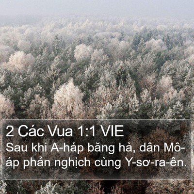 2 Các Vua 1:1 VIE Bible Verse Image
