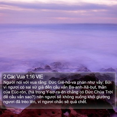 2 Các Vua 1:16 VIE Bible Verse Image