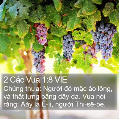 2 Các Vua 1:8 VIE Bible Verse Image