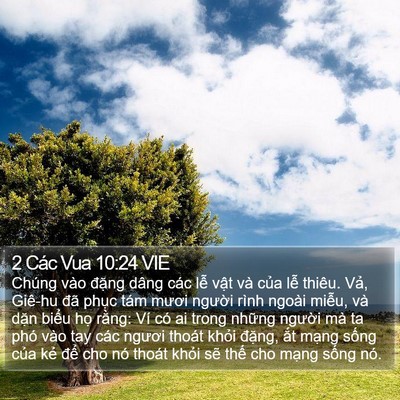 2 Các Vua 10:24 VIE Bible Verse Image