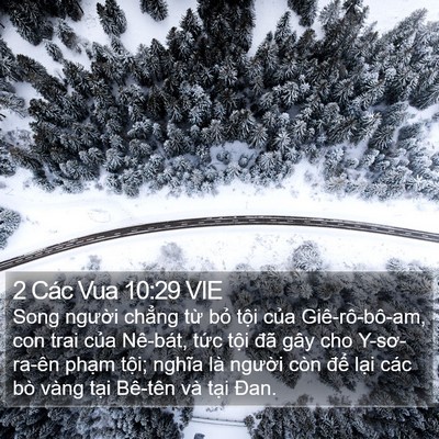 2 Các Vua 10:29 VIE Bible Verse Image