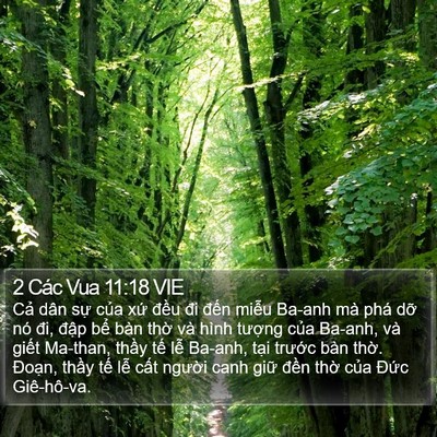 2 Các Vua 11:18 VIE Bible Verse Image
