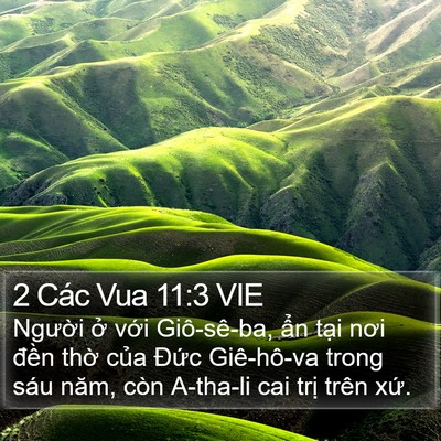 2 Các Vua 11:3 VIE Bible Verse Image