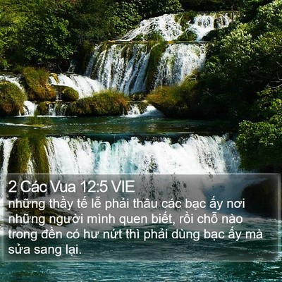 2 Các Vua 12:5 VIE Bible Verse Image
