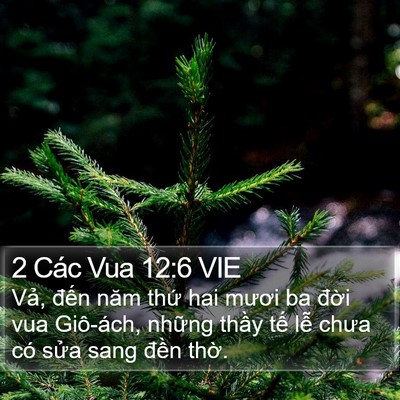 2 Các Vua 12:6 VIE Bible Verse Image