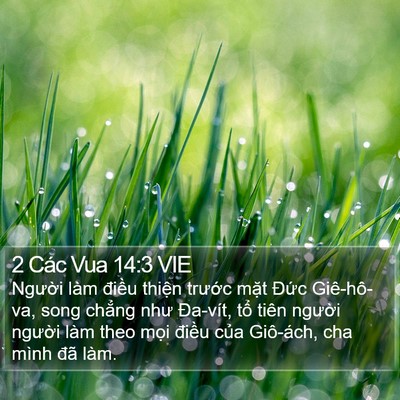 2 Các Vua 14:3 VIE Bible Verse Image