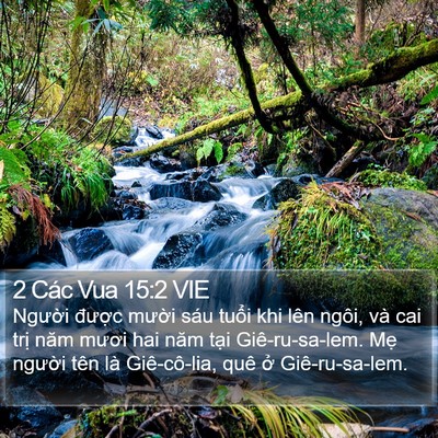 2 Các Vua 15:2 VIE Bible Verse Image