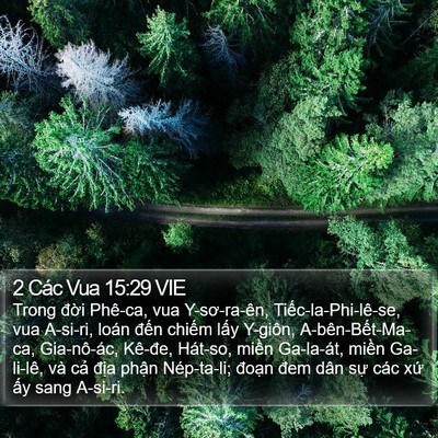 2 Các Vua 15:29 VIE Bible Verse Image