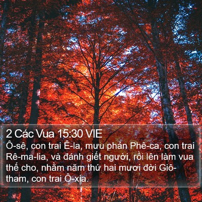 2 Các Vua 15:30 VIE Bible Verse Image