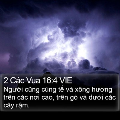 2 Các Vua 16:4 VIE Bible Verse Image