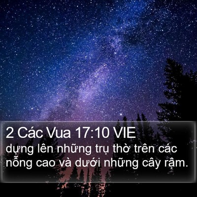 2 Các Vua 17:10 VIE Bible Verse Image