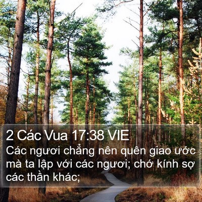 2 Các Vua 17:38 VIE Bible Verse Image