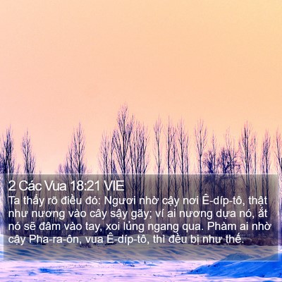 2 Các Vua 18:21 VIE Bible Verse Image
