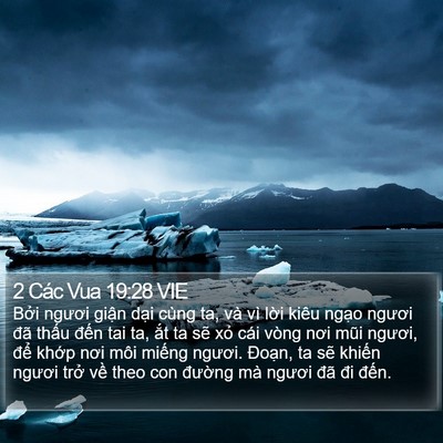 2 Các Vua 19:28 VIE Bible Verse Image