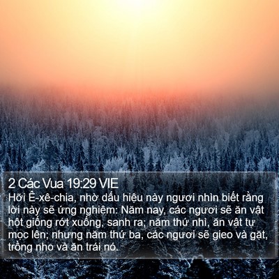 2 Các Vua 19:29 VIE Bible Verse Image